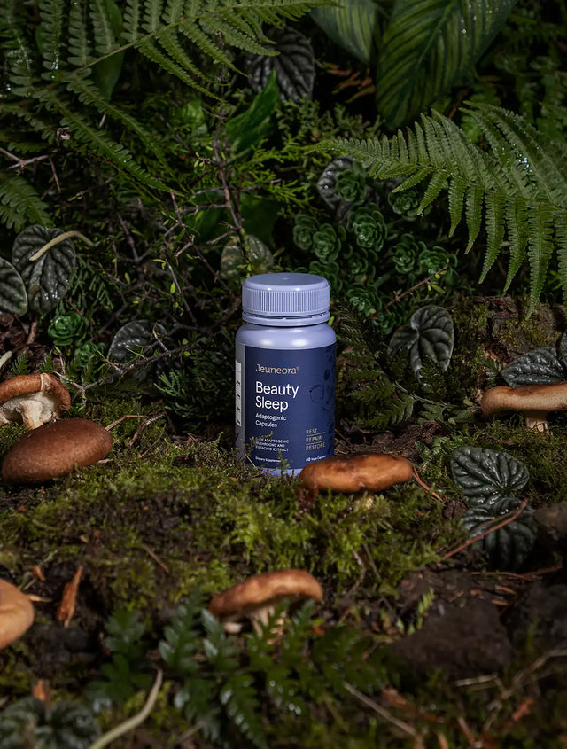 Jeuneora-Beauty-Sleep-Capsules in forrest setting with mushrooms